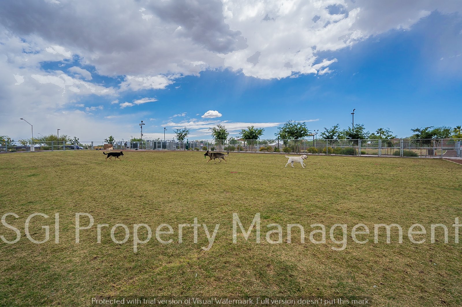 3 Bed 2 Bath Anthem home property image