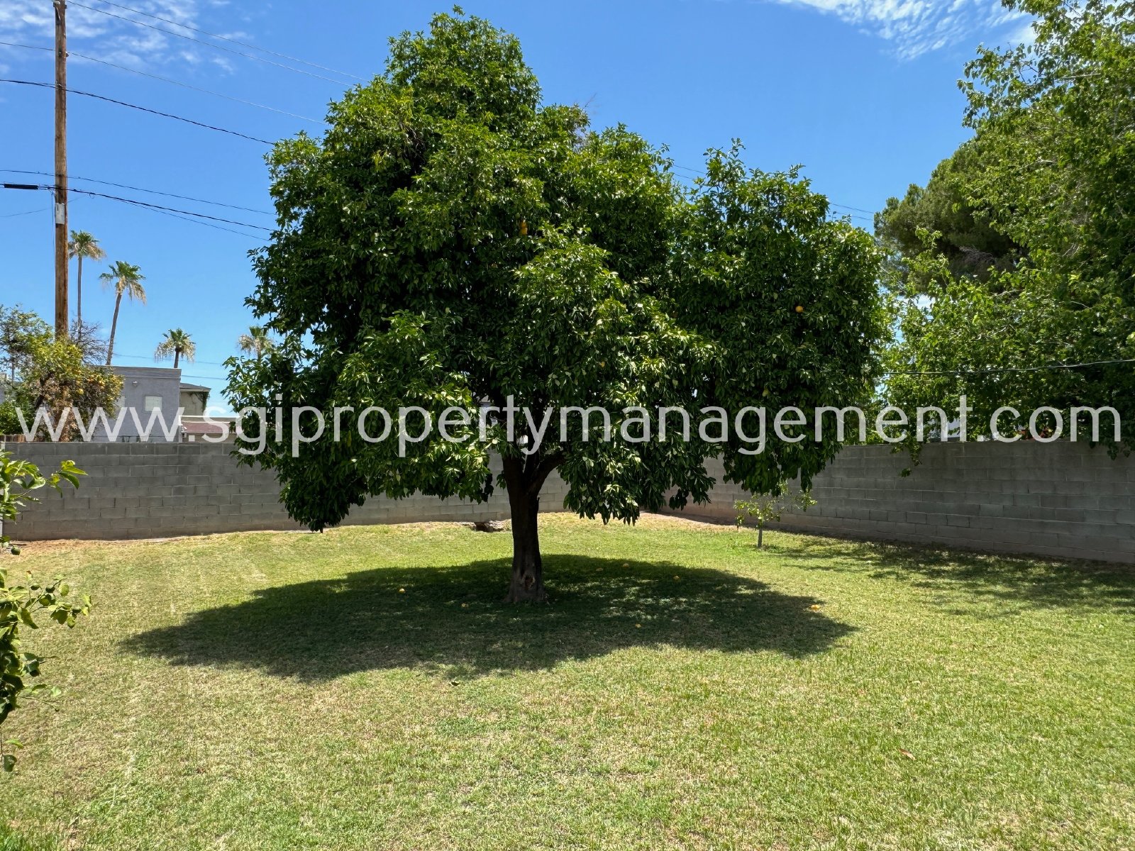 Phoenix home for rent property image