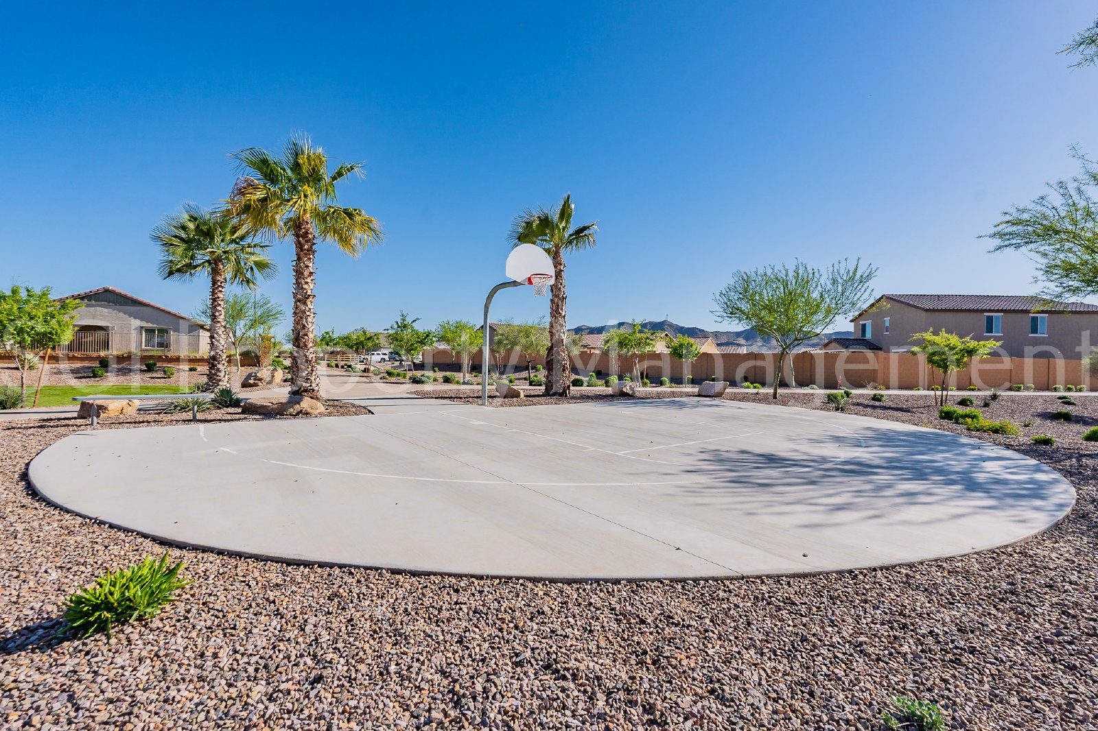 Casa Grande home ready for move in property image