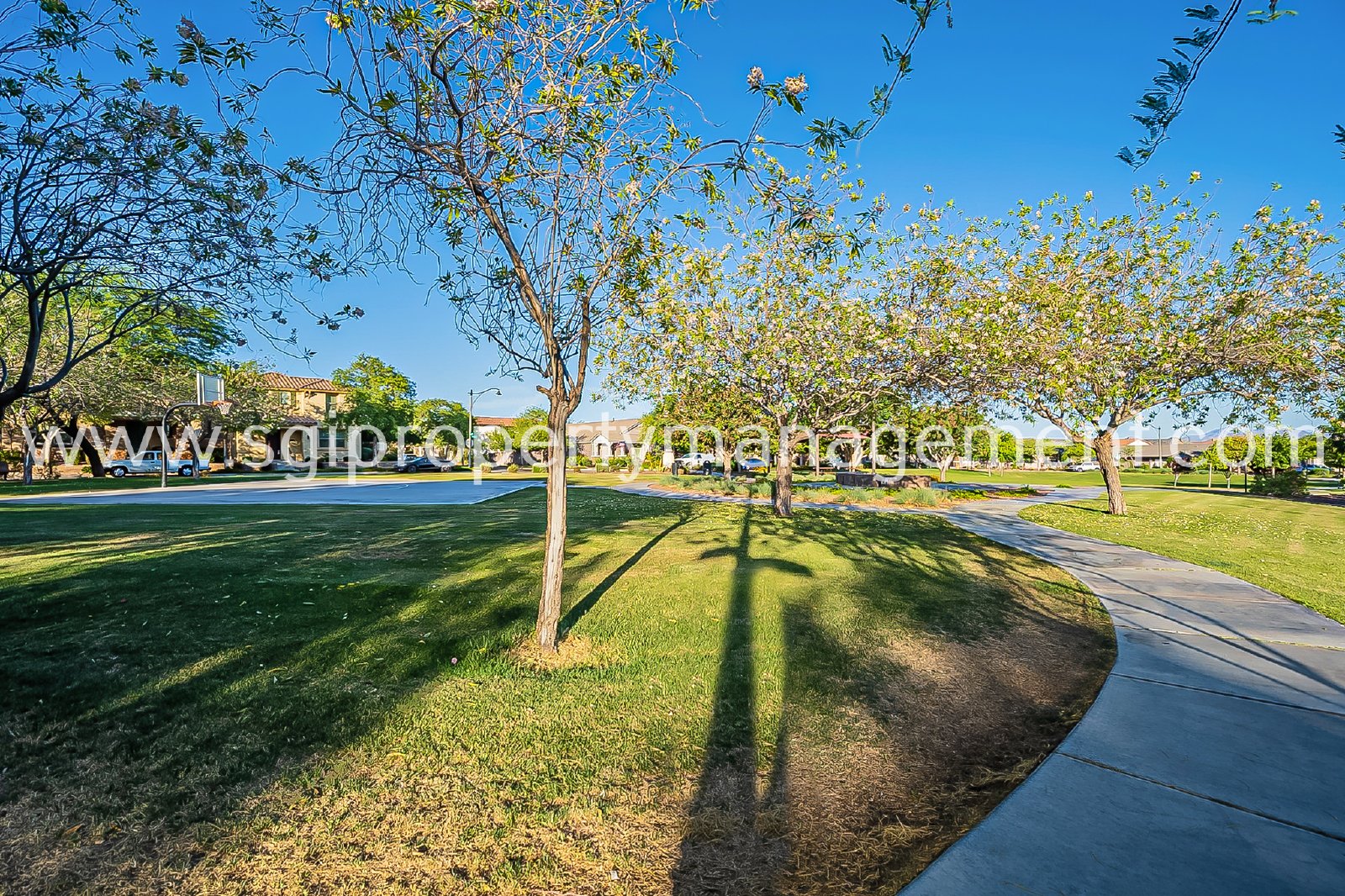4 Bedroom home in Verrado property image