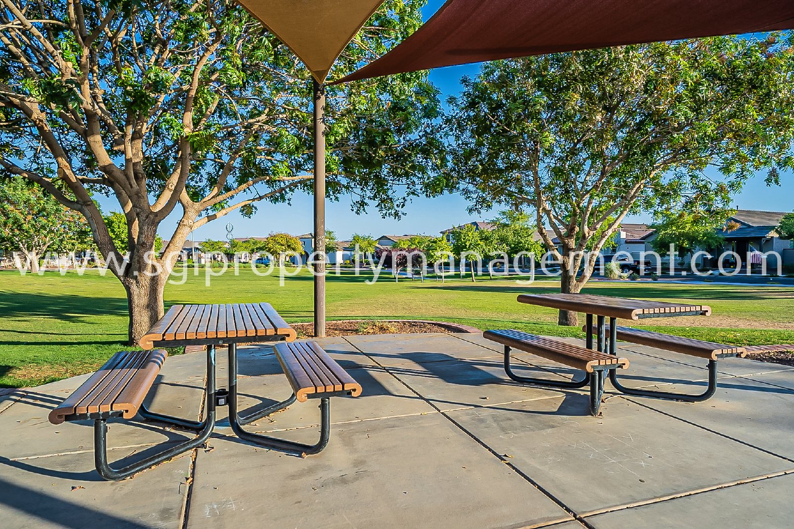 4 Bedroom home in Verrado property image