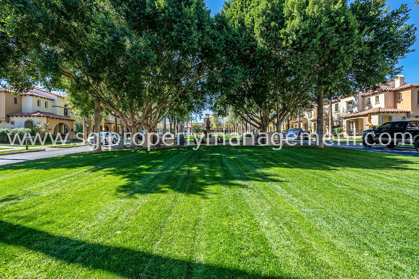 4 Bedroom home in Verrado property image