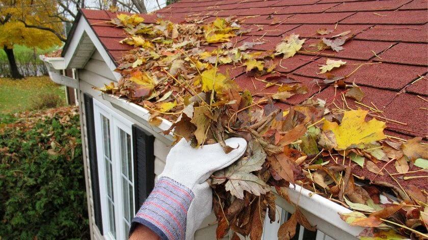 gutter maintenance